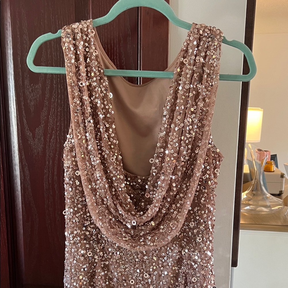 Adrianna Papell Platinum Sequin Dress